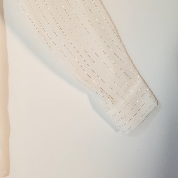 Zara Sheer Button Blouse - Picture 6 of 11